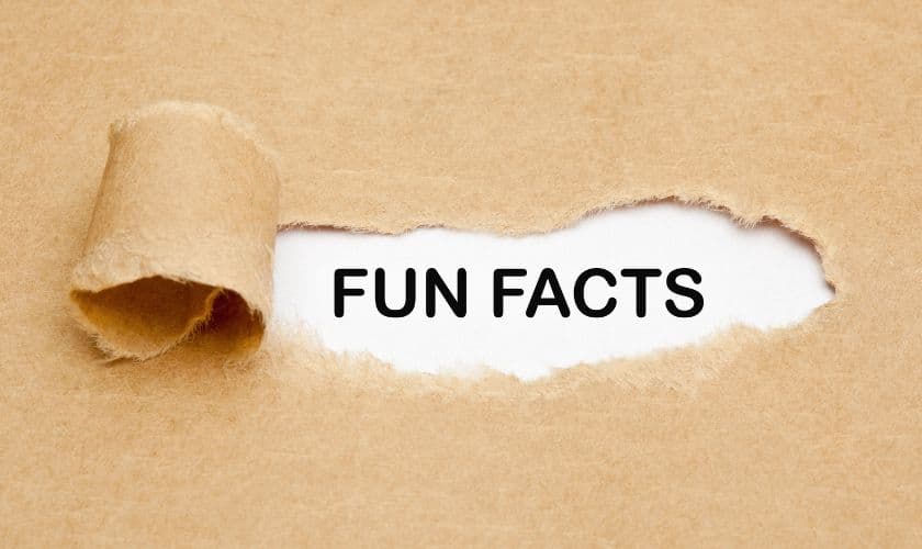 Fun Facts About Dentists That Will Make You Smile